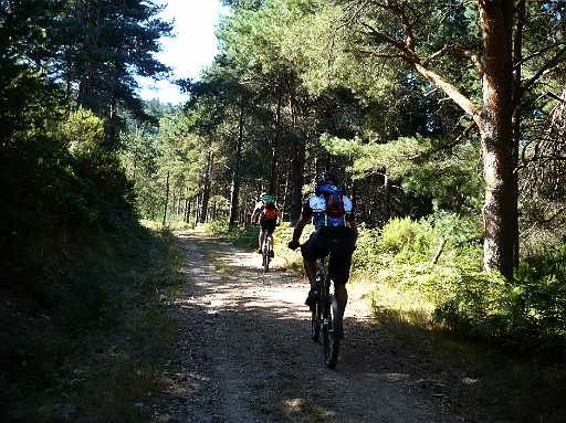 176- Os caminhos de sempre.jpg